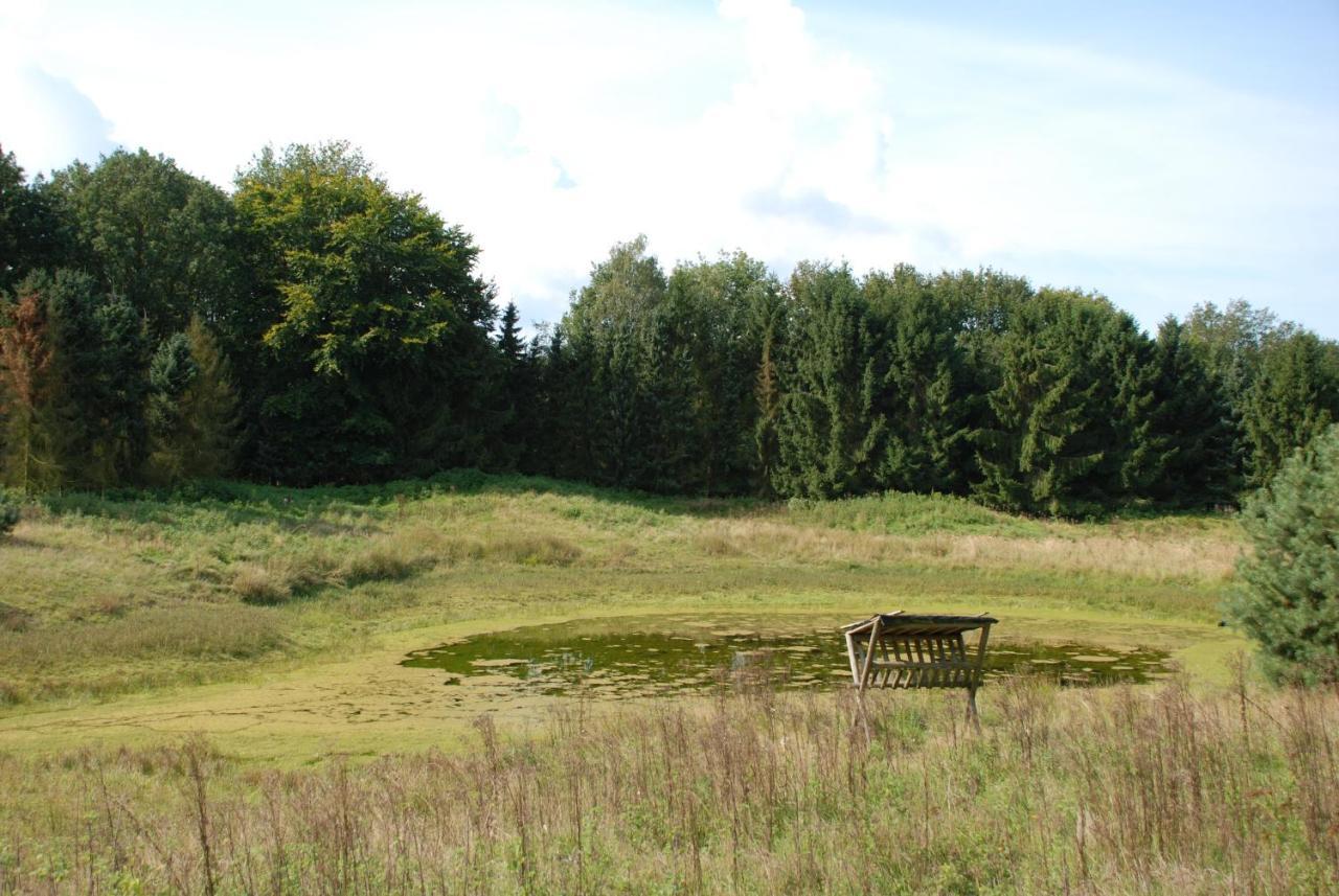Charmant chalet op een bospark op de Veluwe Villa Putten Eksteriør billede